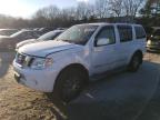 Lot #3023733883 2010 NISSAN PATHFINDER