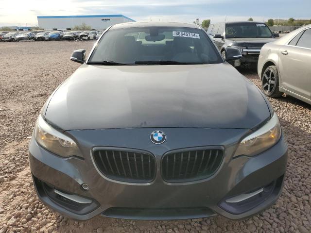 2015 BMW 228 I WBA1F5C57FV257639
