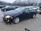 Lot #3024613607 2008 LEXUS ES 350