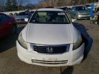 Lot #3030436466 2009 HONDA ACCORD LXP