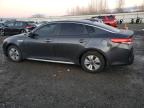 Lot #3024608712 2017 KIA OPTIMA HYB