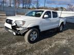 2015 TOYOTA TACOMA DOU - 5TFJU4GN4FX090559