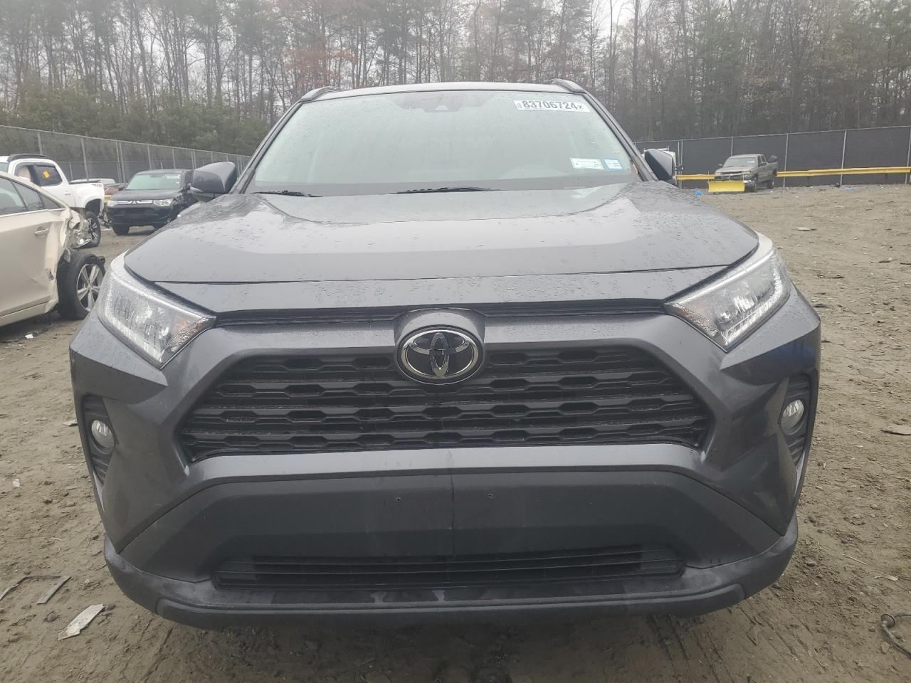 Lot #3034502750 2019 TOYOTA RAV4 XLE