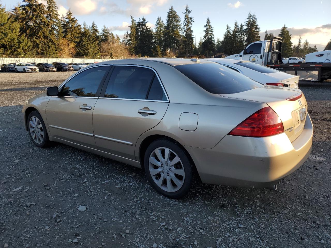 Lot #3033485107 2006 HONDA ACCORD EX