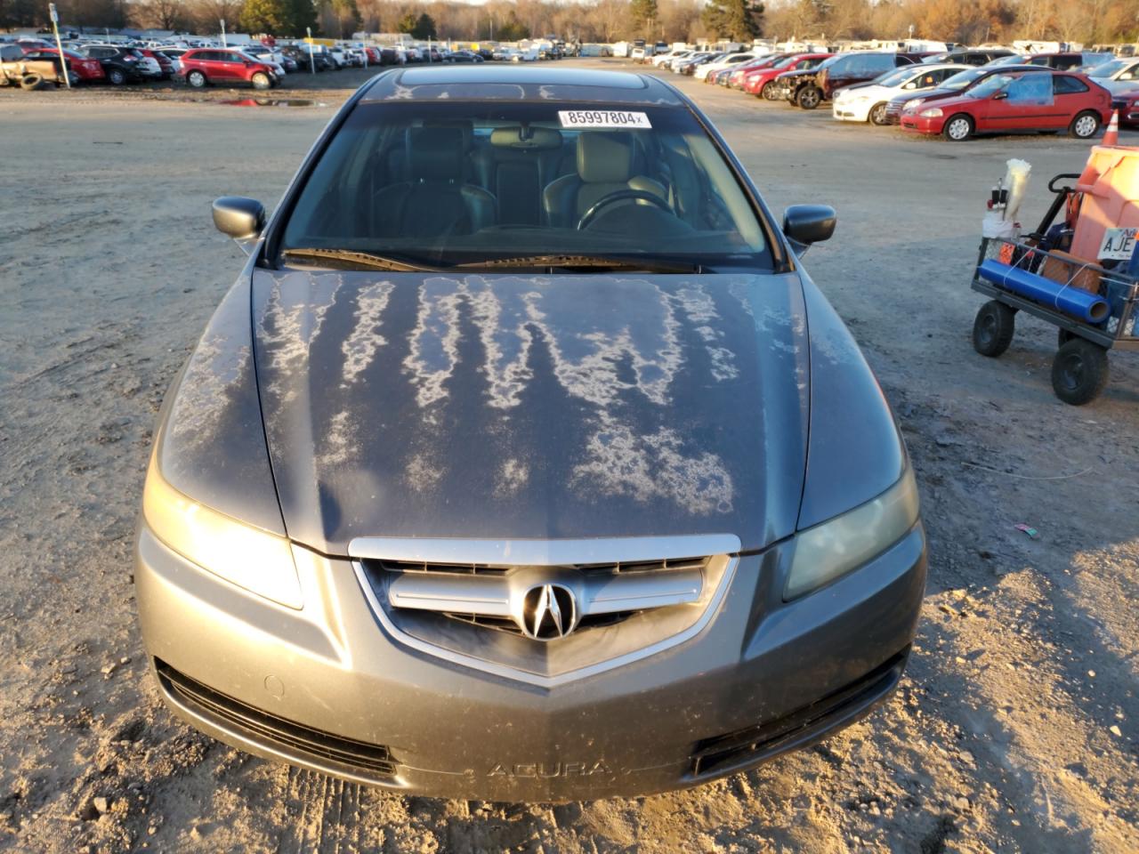 Lot #3034277079 2005 ACURA TL