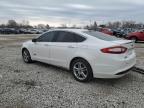 Lot #3033015002 2016 FORD FUSION TIT