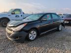 Lot #3024057657 2013 HYUNDAI SONATA HYB