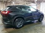 Lot #3048304757 2023 LEXUS NX 350