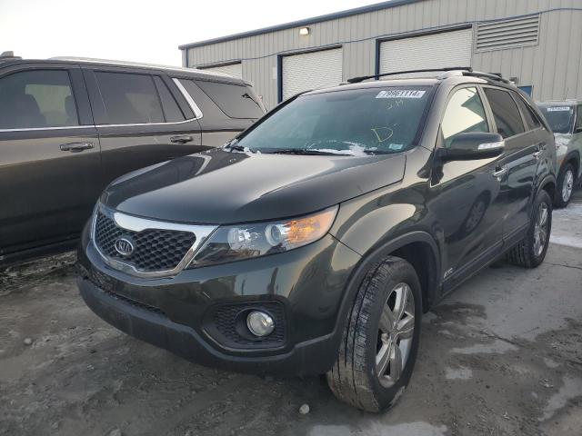 Vin: 5xykuca65dg316687, lot: 79961114, kia sorento ex 2013 img_1