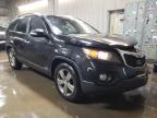 Lot #3024599655 2012 KIA SORENTO EX