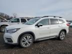 2019 SUBARU ASCENT LIM - 4S4WMALD1K3416302