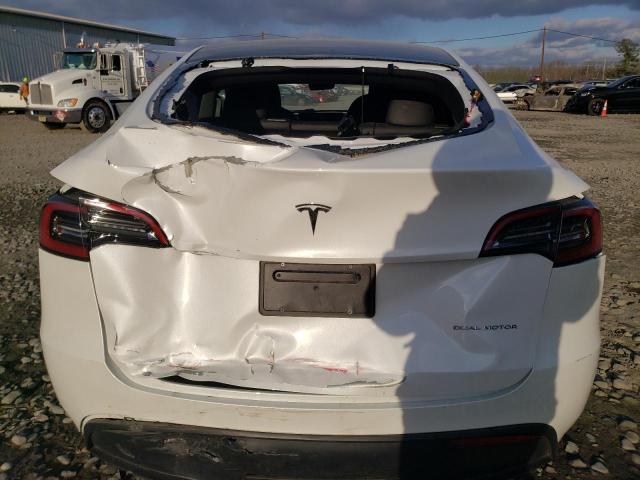 2023 TESLA MODEL Y - 7SAYGAEE7PF749059