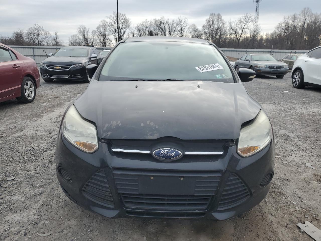 Lot #3024244892 2014 FORD FOCUS SE