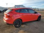 Lot #3023788908 2013 FORD FOCUS SE