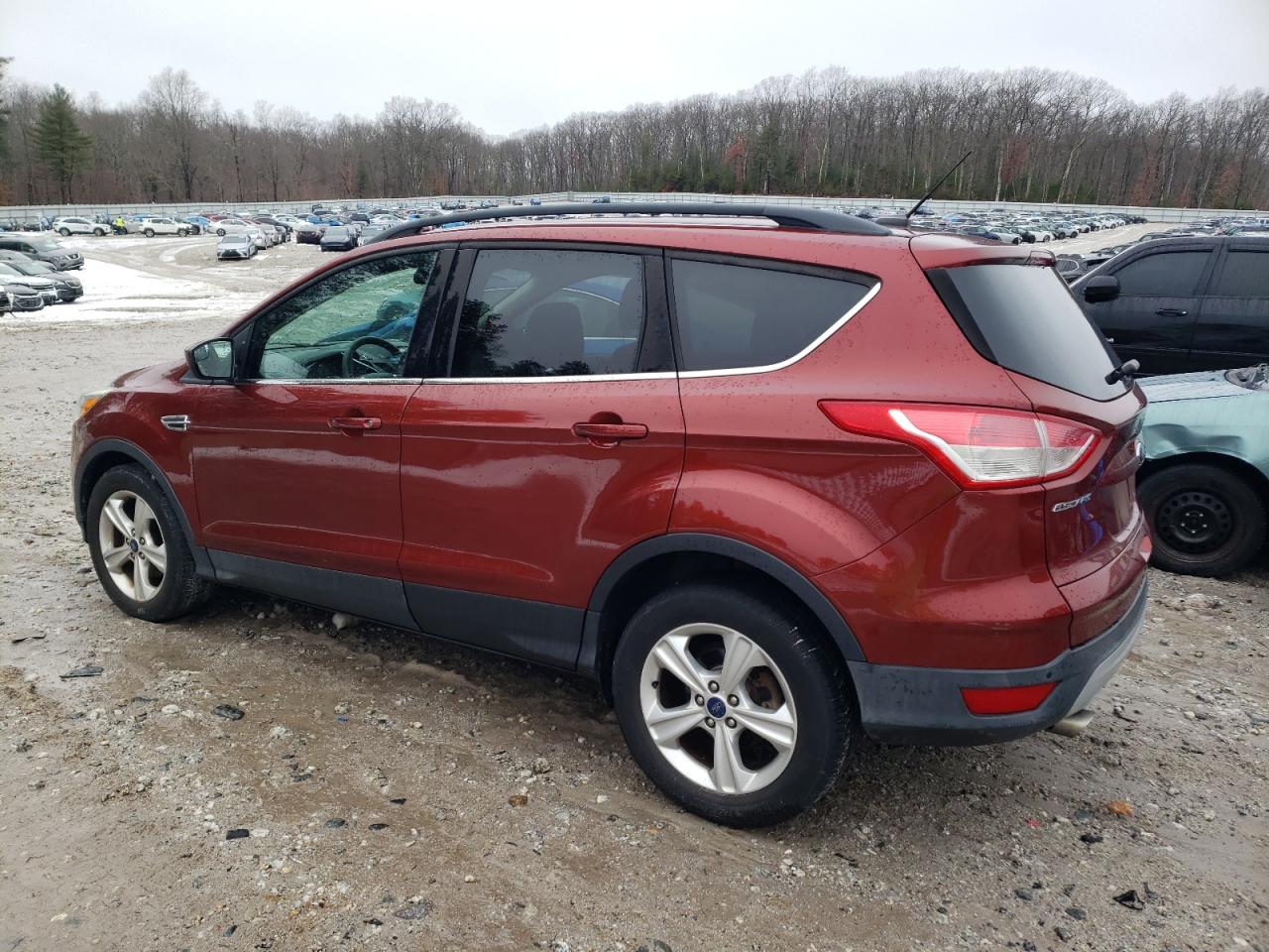 Lot #3034386115 2014 FORD ESCAPE SE