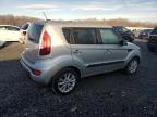 Lot #3041902851 2013 KIA SOUL +