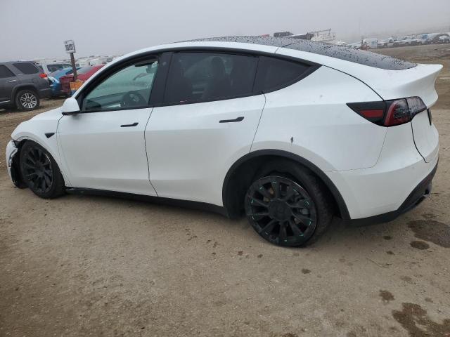 2023 TESLA MODEL Y - 7SAYGAEE8PF661282