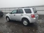 Lot #3030546508 2011 FORD ESCAPE XLT