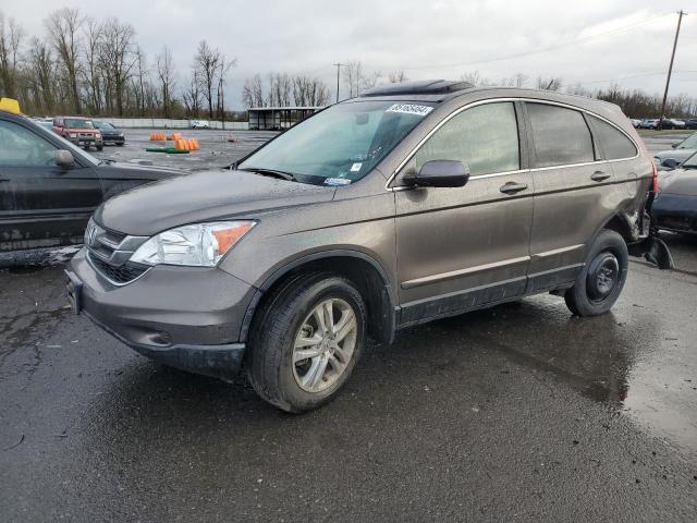 HONDA CR-V EXL 2010 brown  gas 5J6RE4H7XAL021742 photo #1