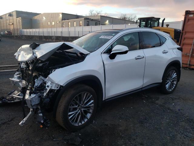 2024 LEXUS NX 350 LUX #3056281391