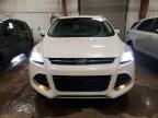 Lot #3034352087 2016 FORD ESCAPE TIT