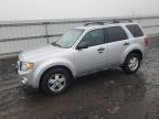 Lot #3030546508 2011 FORD ESCAPE XLT