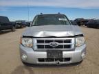 Lot #3024226799 2010 FORD ESCAPE XLT