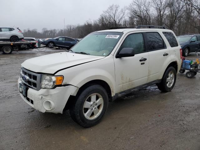 Vin: 1fmcu0d72bkc15844, lot: 86042284, ford escape xlt 2011 img_1