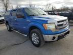 Lot #3024821371 2013 FORD F150 SUPER