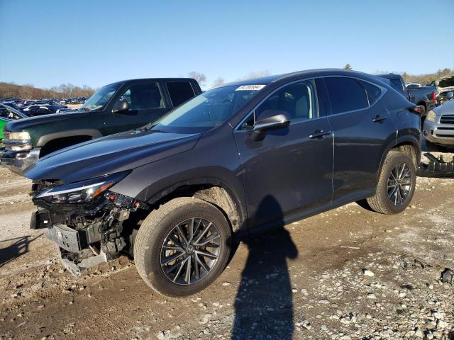 LEXUS NX 350 PRE 2024 gray  gas 2T2GGCEZXRC038806 photo #1