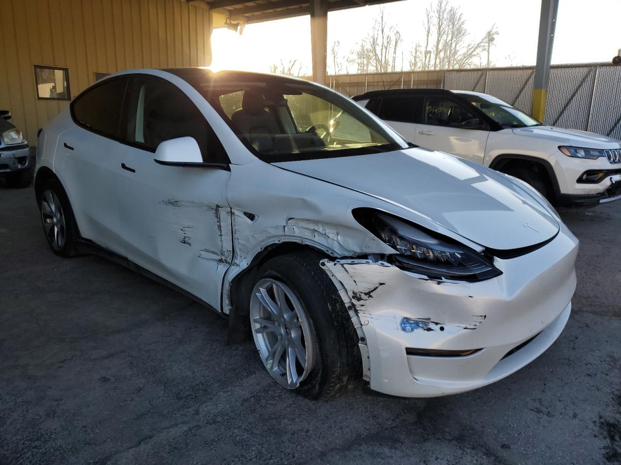 Lot #3028272797 2020 TESLA MODEL Y