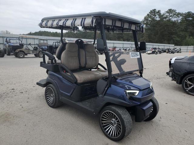 2024 OTHER GOLF CART #3037074726