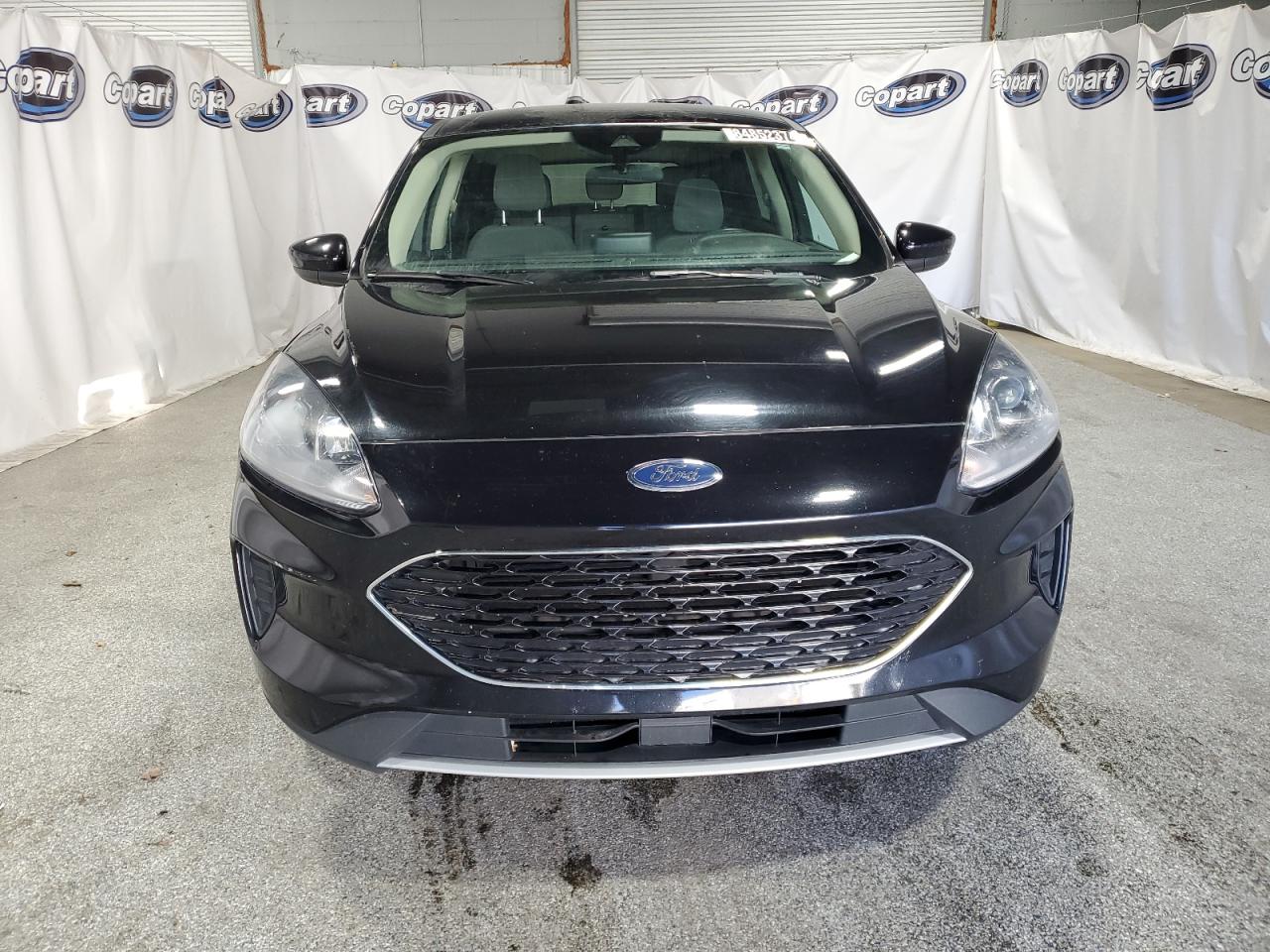 Lot #3030466472 2020 FORD ESCAPE SE