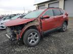 2019 HONDA CR-V EX - 2HKRW2H57KH627723
