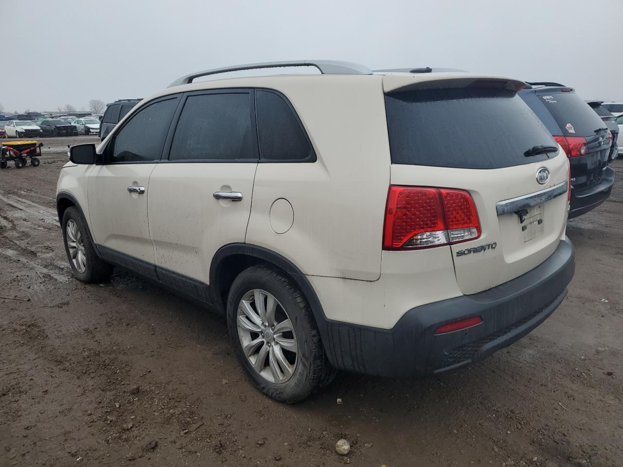 Lot #3038000220 2011 KIA SORENTO EX