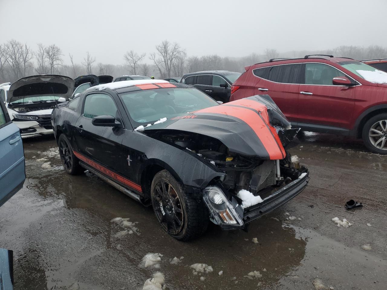 Lot #3029348687 2010 FORD MUSTANG