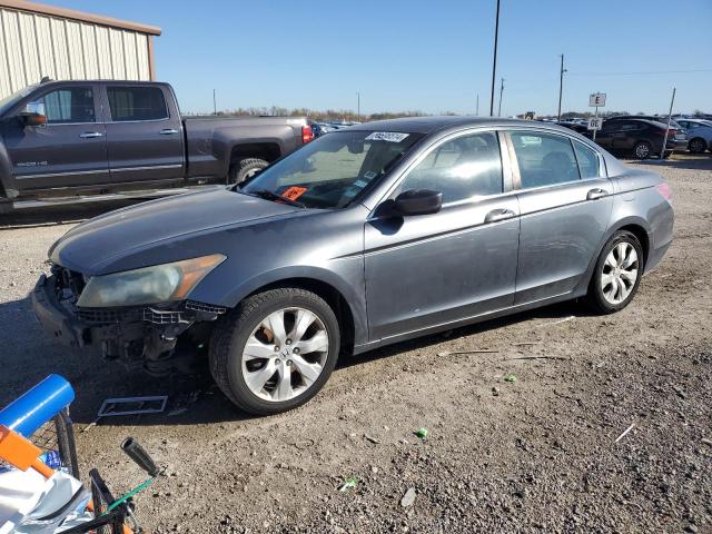 2010 HONDA ACCORD EXL #3048388727