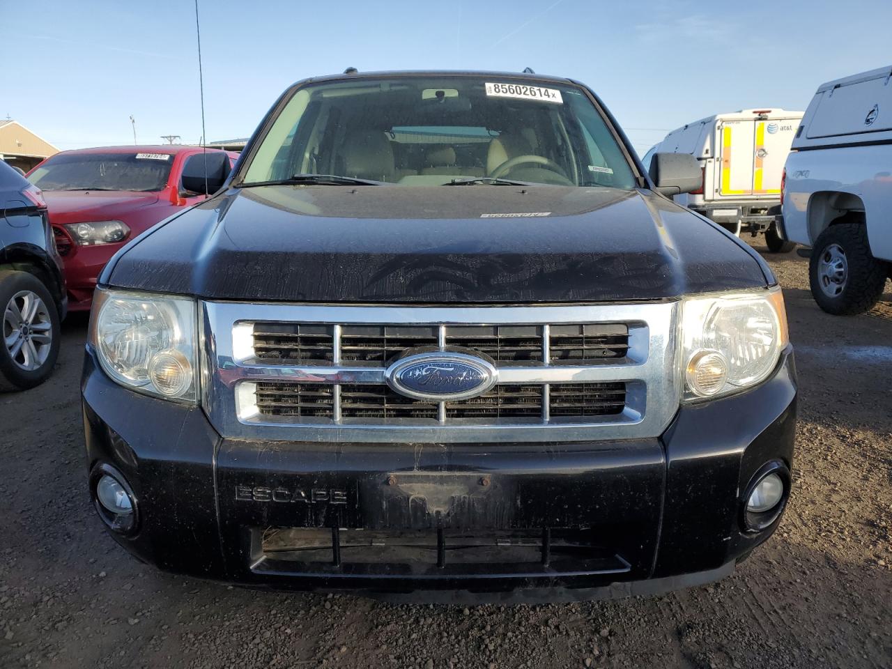 Lot #3030456463 2008 FORD ESCAPE HEV