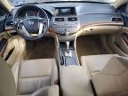 Lot #3025049265 2011 HONDA ACCORD EXL