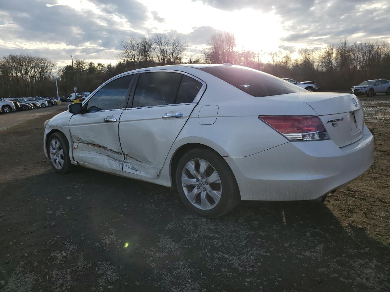 Lot #3052434880 2008 HONDA ACCORD EXL