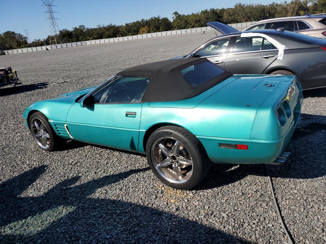 Lot #3024837410 1991 CHEVROLET CORVETTE