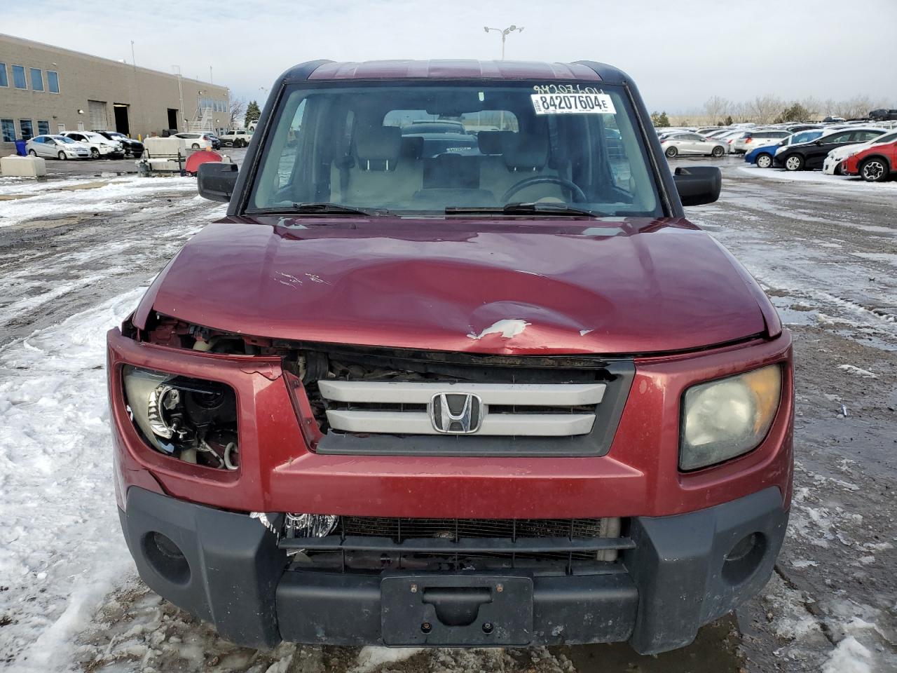 Lot #3024964420 2008 HONDA ELEMENT EX