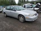 Lot #3034737659 2003 CHEVROLET MALIBU