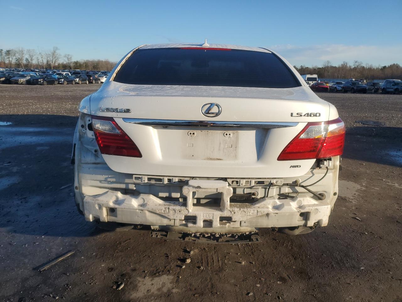 Lot #3041892474 2010 LEXUS LS 460