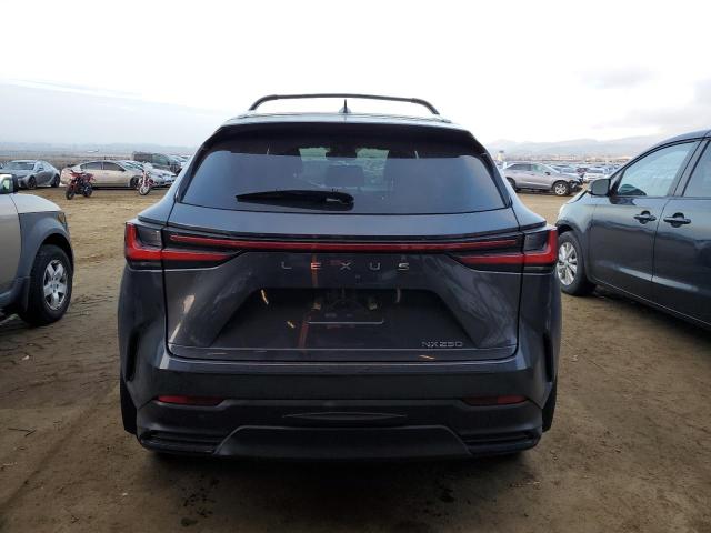 2024 LEXUS NX 250 BAS 2T2ADCAZ8RC008577