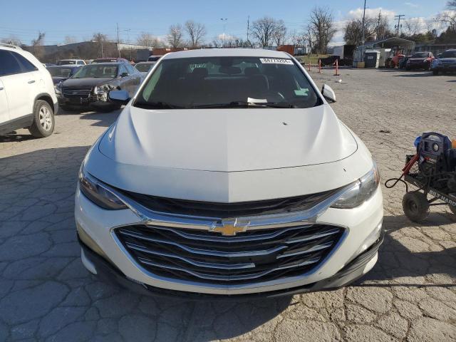 2019 CHEVROLET MALIBU LT - 1G1ZD5ST6KF161297