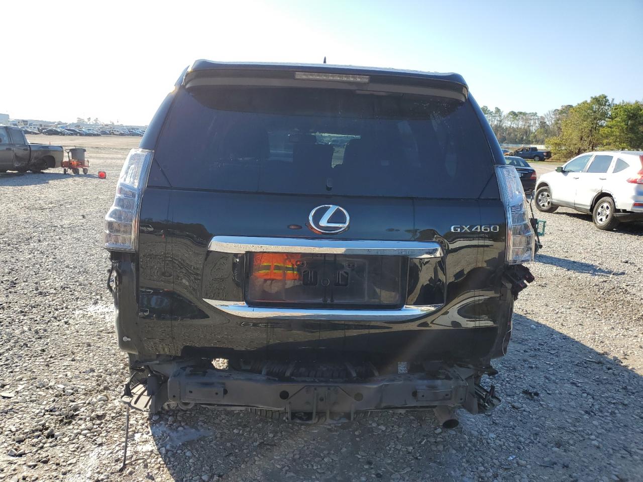 Lot #3030619156 2015 LEXUS GX 460