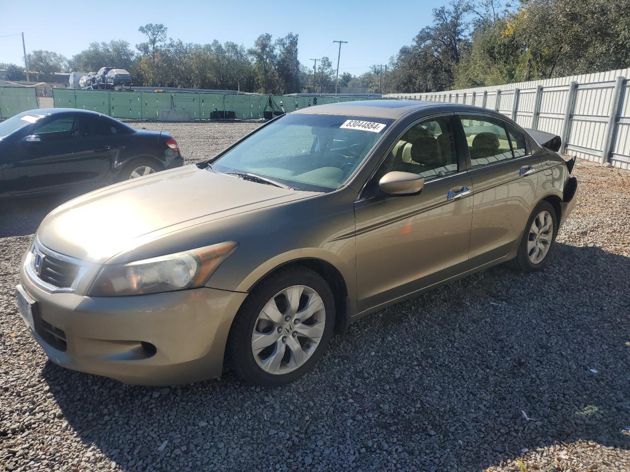 Lot #3030644123 2008 HONDA ACCORD EXL