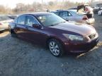 Lot #3024591607 2008 HONDA ACCORD EX