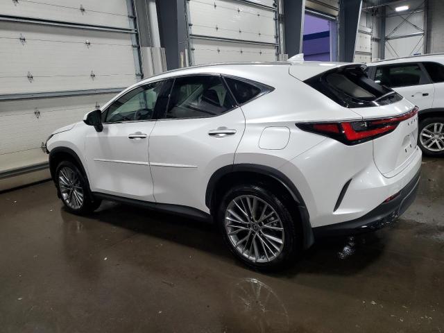 2023 LEXUS NX 350 - JTJHGCEZ8P5004654